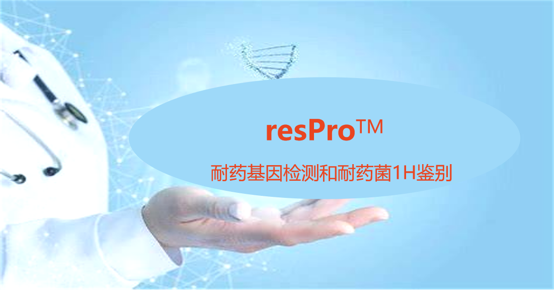 resPro，细菌耐药基因谱